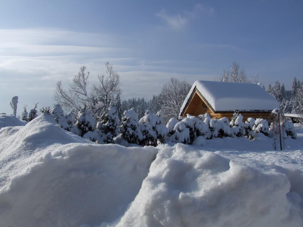 Wynajem Pokoi ,,Góry Tatry Wypoczynek Paweł Kuczyński Czarna Góra Habitación foto